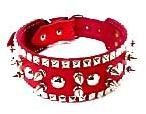 Nylon Dog Collar 01