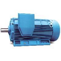 High Voltage Electric Motors