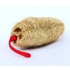 Loofah Sponge