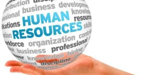 Employment HR Services