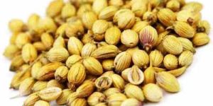 Coriander Seeds