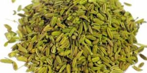 Fennel Seeds