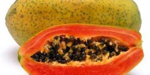 Papaya