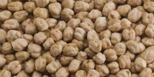 White Chickpeas
