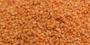 Lentils