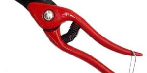 Pruning Shear