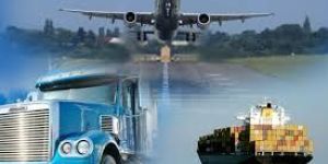 Domestic Transportation Services
