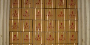 PP Plastic Box Straps