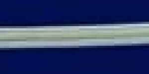 Universal Femur Nails