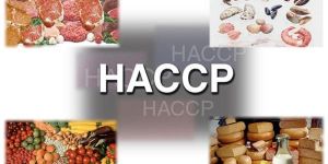 Haccp Certification