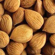 Bitter Apricot Kernel