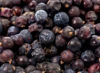 Oleoresin Juniper Berry