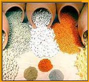 PULSES & SPICES