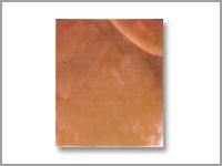 Brass Cold Rolled Sheets