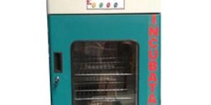 Convection Incubator