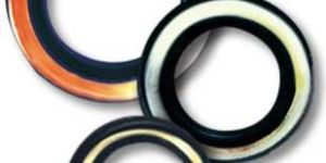 Oil Seals