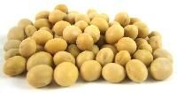 Organic Soybean