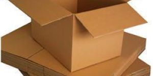 Duplex Carton Box