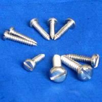 Mild Steel Screw