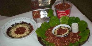 Non Toxic Mouth Freshener