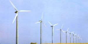 Product Development & Supply