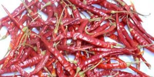Dried Chilli