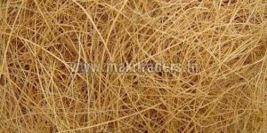 Coconut Fiber
