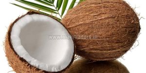 Fresh Coconut