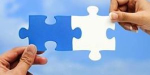 IT CONSULTANCY SERVICES