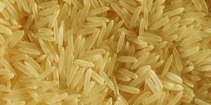 Pusa Sella Golden Basmati Rice