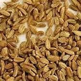 Carrot Seeds