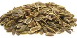 Dill Seeds