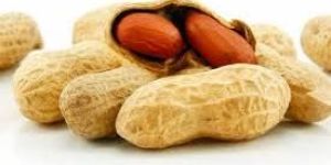 Peanut