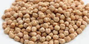 White Chickpeas