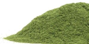 Azadirachta Indica Powder