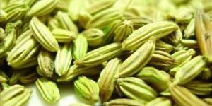 Fennel Seeds