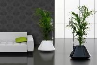 Indoor Planter