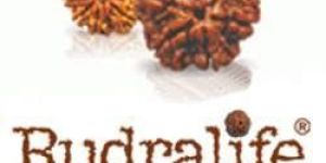 Rudraksha