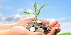 Working Capital Finance Services