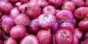 Fresh Red Onion