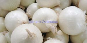 Fresh White Onion
