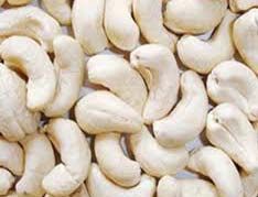 Processed Cashew Nuts