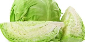 Fresh Cabbage