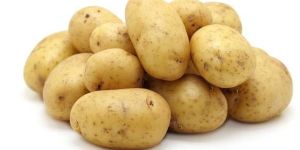 Fresh Potato