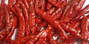 Dry Red Chilli