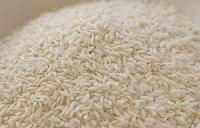 Short Grain Rice