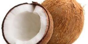 Coconut