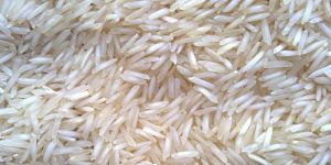 1509 Basmati Rice