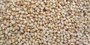 White Sesame Seeds