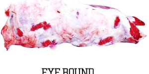 Frozen Hind Quarter Meat